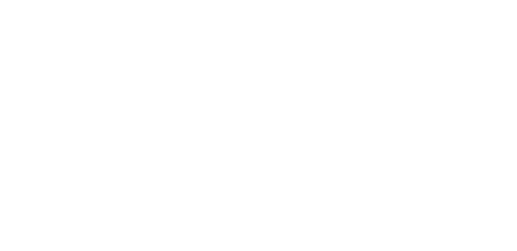 Life Link Recovery
